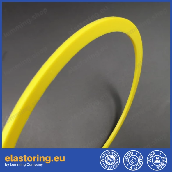 Back up ring RAE 15,54x2,62 L1 [2ERAE137]